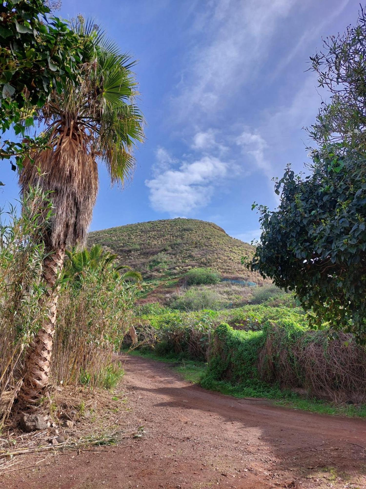 La Matanza De Acentejo Casa Rural Dona Herminda מראה חיצוני תמונה